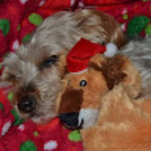 Meet your Posher, Anna marie